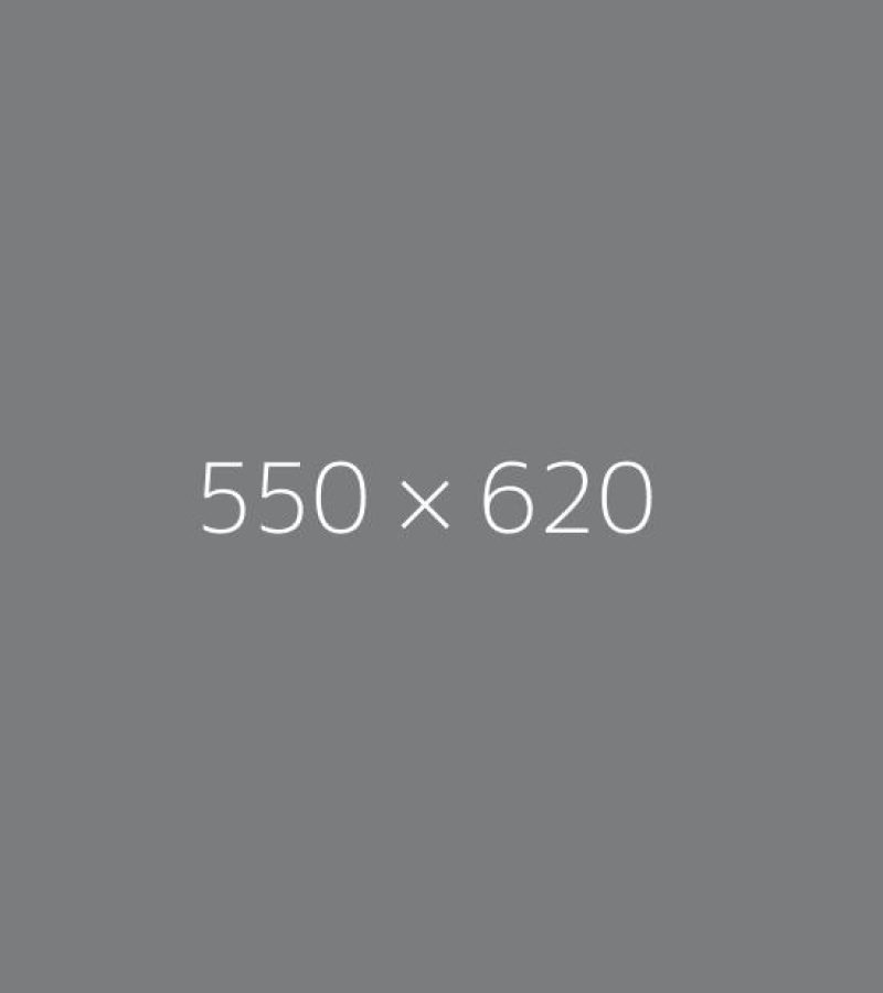 550*620